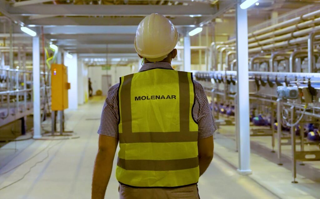 Molenaar